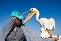 Namibia_April_2025 (63/79)